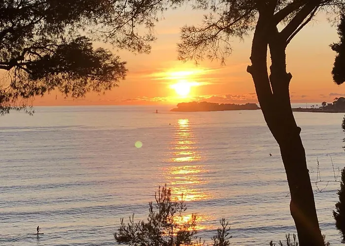 With Private Pool & Boules Court Ferienhaus Bandol